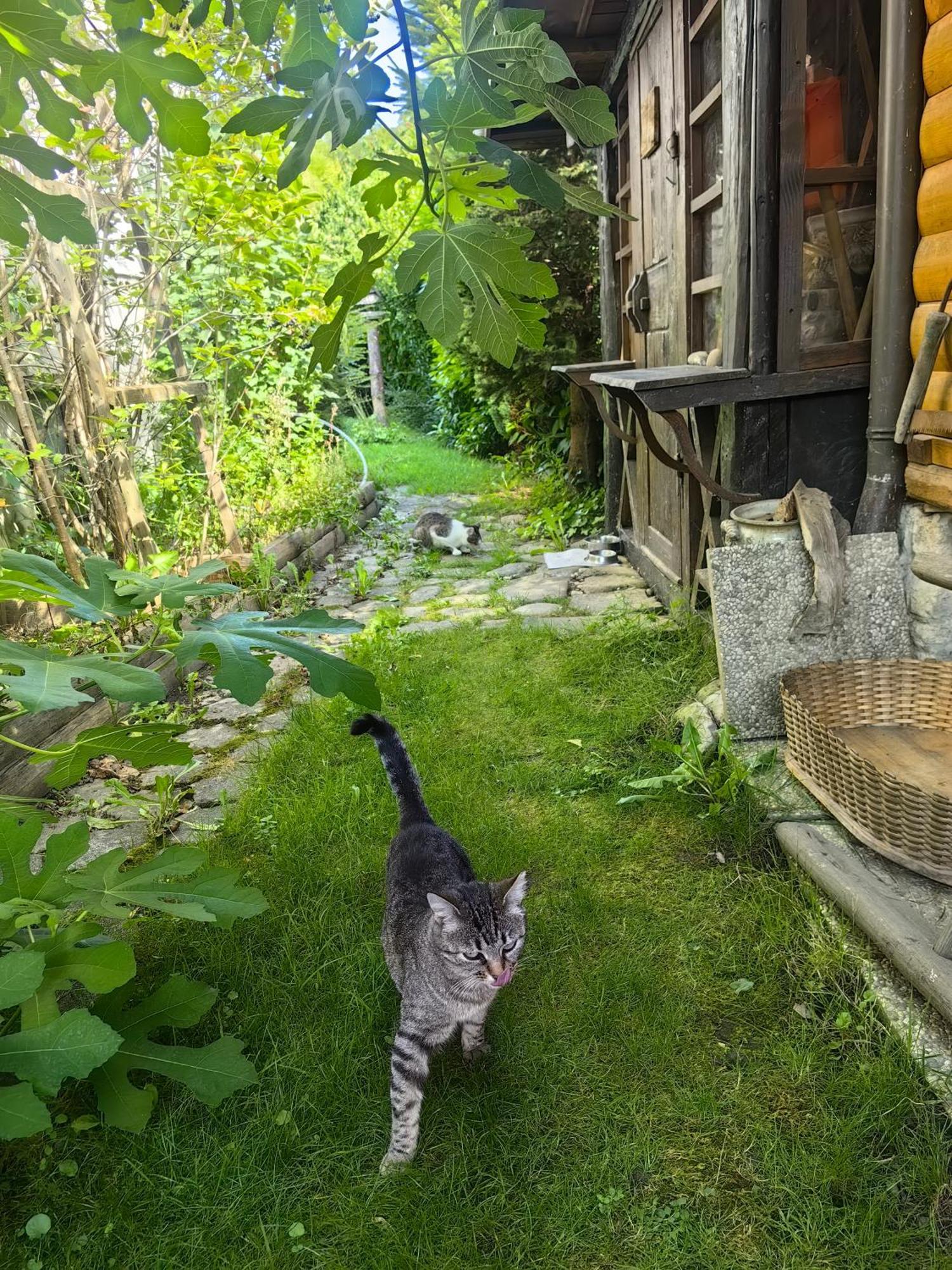 Hisa Hortenzija * Luče