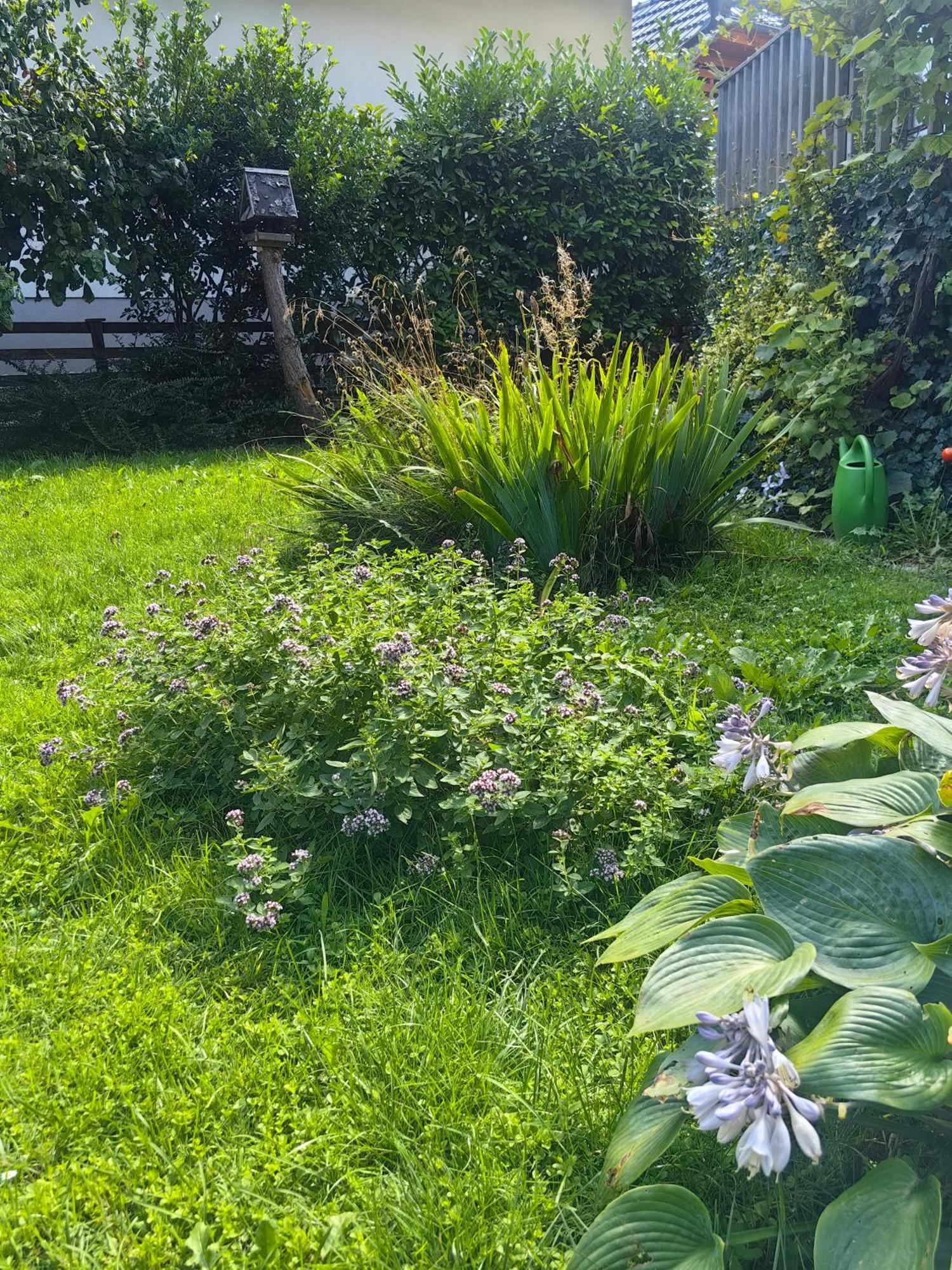 Hisa Hortenzija Hébergement de vacances