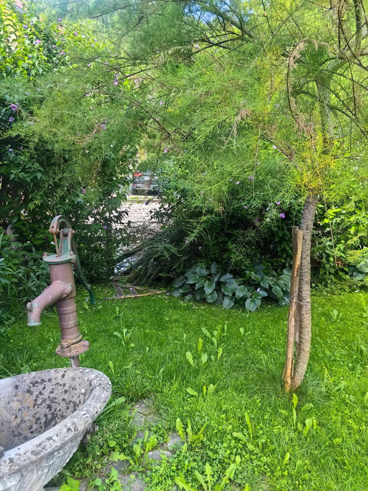 Hébergement de vacances Hisa Hortenzija